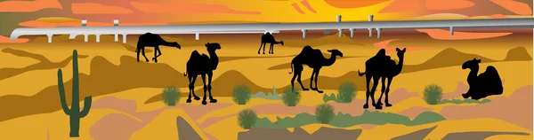 Pipeline in der Wüste mit Kamelen — Stockvektor