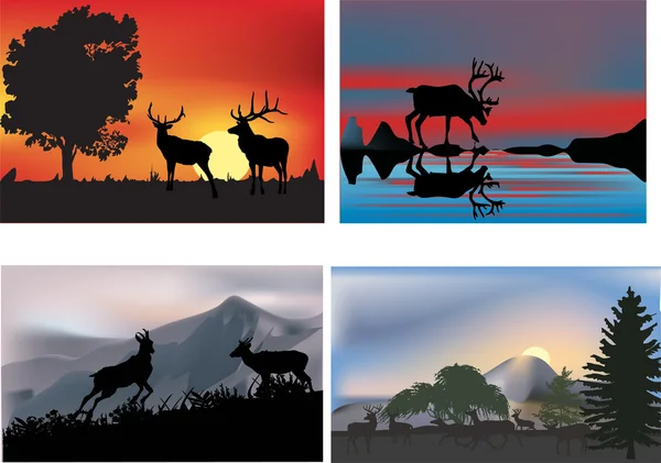 Чотири ілюстрації з оленями на заході сонця — стоковий вектор