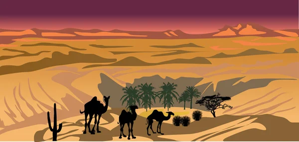 Orangefarbene Illustration mit Wüste und Kamelen — Stockvektor
