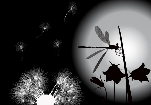 Dragonfly and dandelion on black — Stock Vector