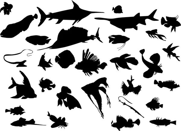 Set of exotic fishes silhouettes — Stock Vector