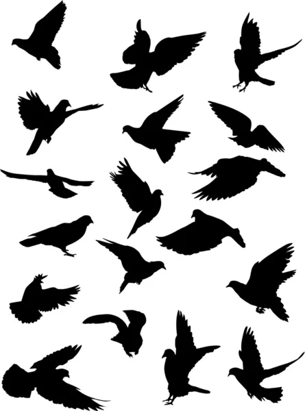 Eighteen pigeon silhouettes — Stock Vector