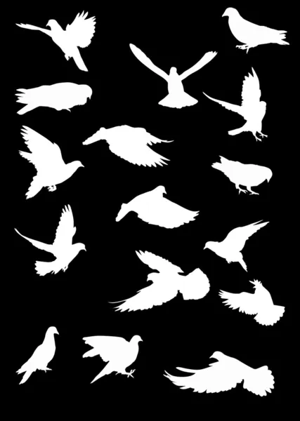 Sixteen white pigeons — Stock Vector