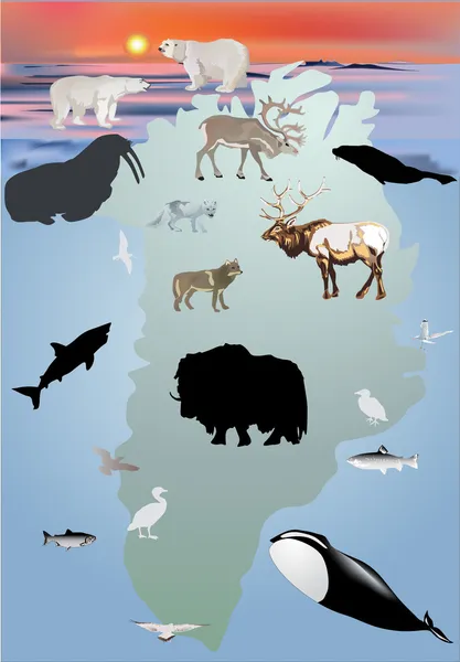 グリーンランドの動物コレクション図 — ストックベクタ