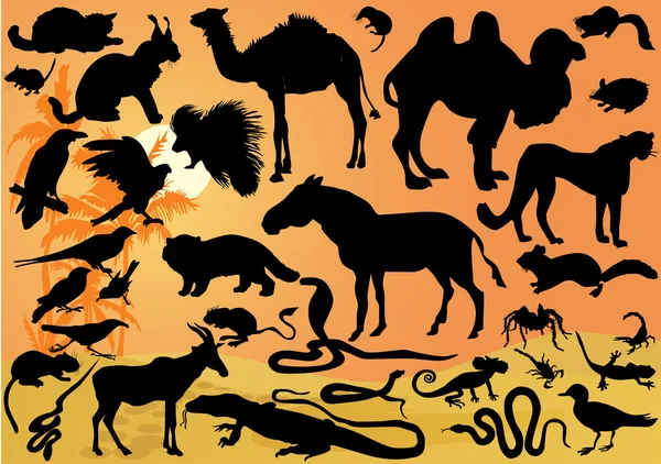 Set of desert animals illustration — Stock Vector