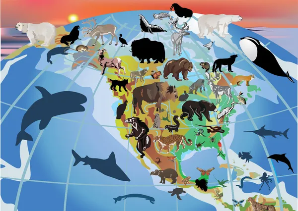Amérique du Nord et différents animaux — Image vectorielle