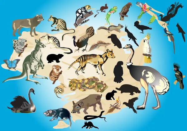 Austrália ilustração fauna — Vetor de Stock