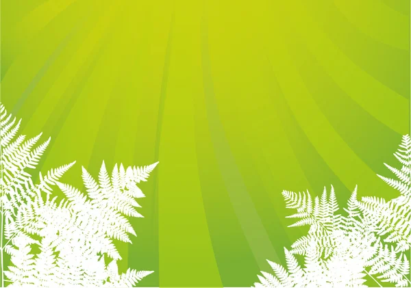 White fern under sun — Stock Vector