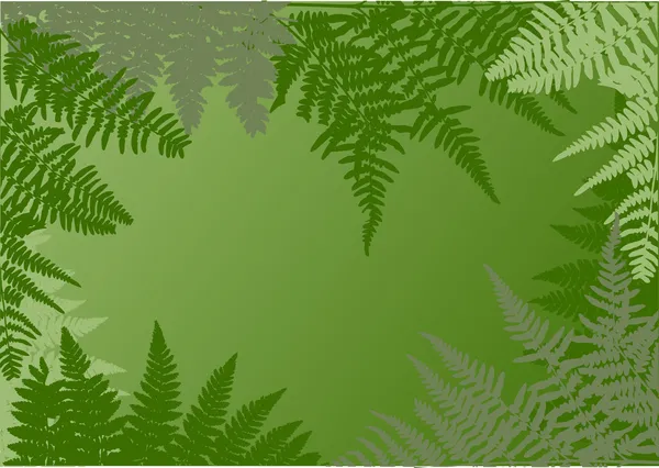 Grüne Farnrahmen Illustration — Stockvektor