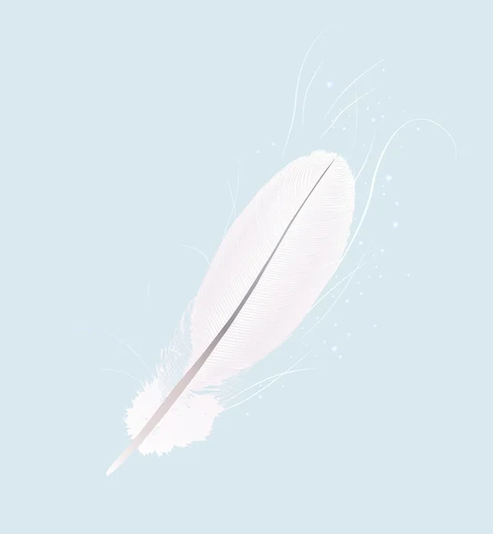 White feather on blue background — Stock Vector