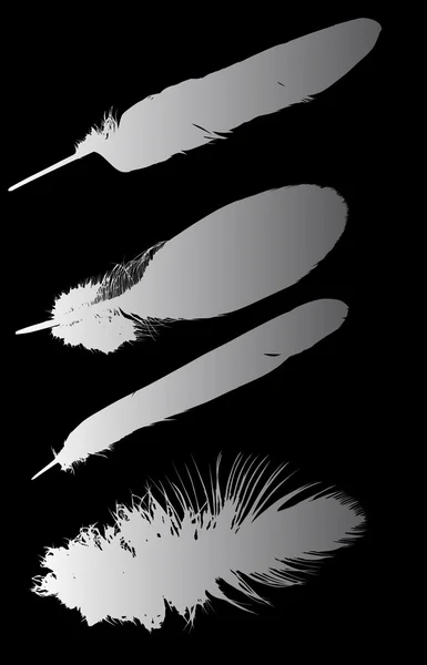 Set of four feathers on black — Stock Vector