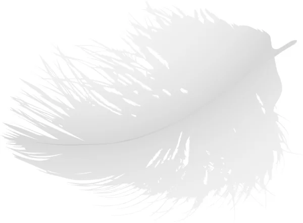 Vita fluffiga feahter illustration — Stock vektor