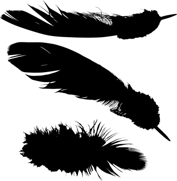 Drie zwarte geïsoleerde veren illustratie — Stockvector
