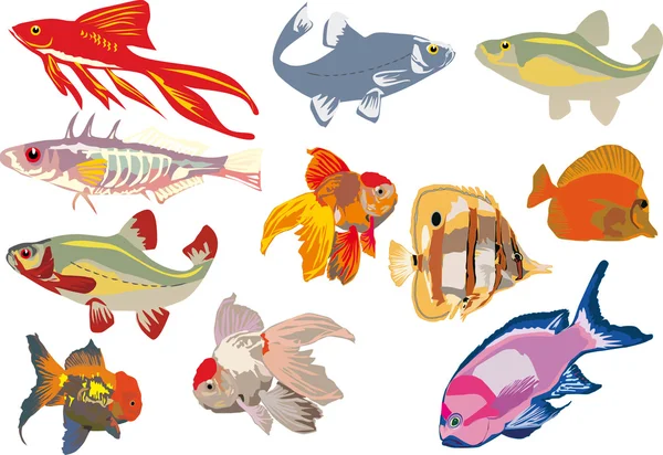 Eleven color fishes — Stock Vector