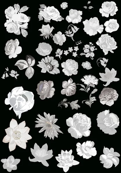 Grijze bloemen collectie geïsoleerd op zwart — Stockvector