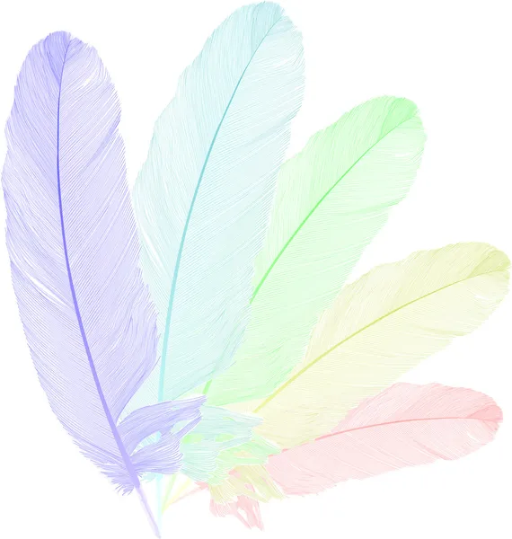 白で隔離される虹羽 — ストックベクタ