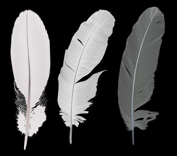 Set of three detailed feathers on black — Stock Vector