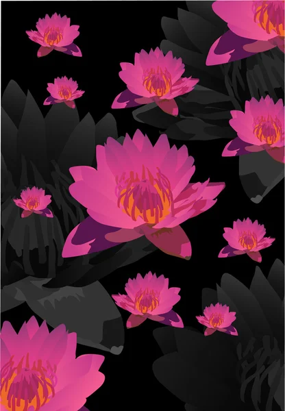 Achtergrond met roze lotusbloemen — Stockvector