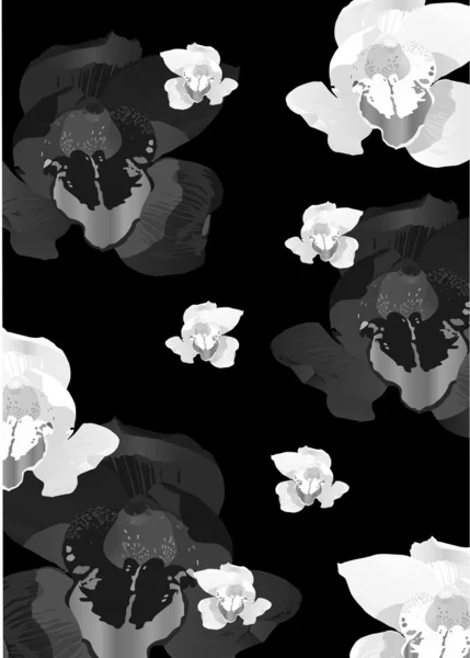 Witte en zwarte orchid achtergrond — Stockvector