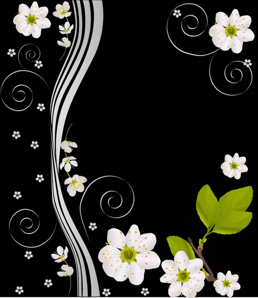 Siyah üzerine beyaz kiraz çiçek tasarım — Stok Vektör