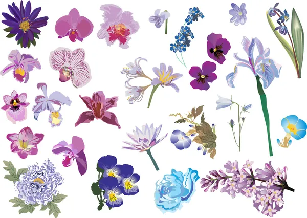 Eflatun ve mavi renk çiçek koleksiyonu — Stok Vektör