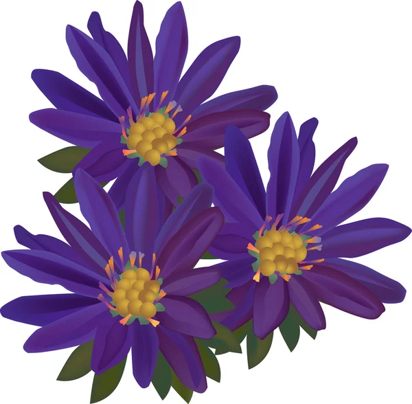 Tres flores lila aisladas — Archivo Imágenes Vectoriales