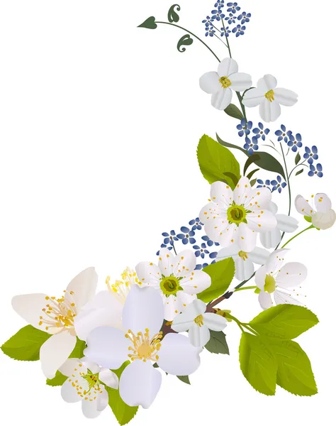 Boucle avec du jasmin et des fleurs de cerise — Image vectorielle