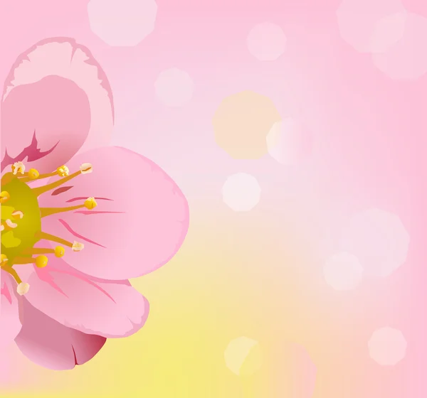 Рожева квітка на розмитому фоні — стоковий вектор