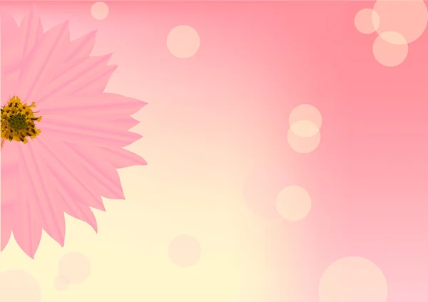 Meia flor rosa no fundo borrão — Vetor de Stock