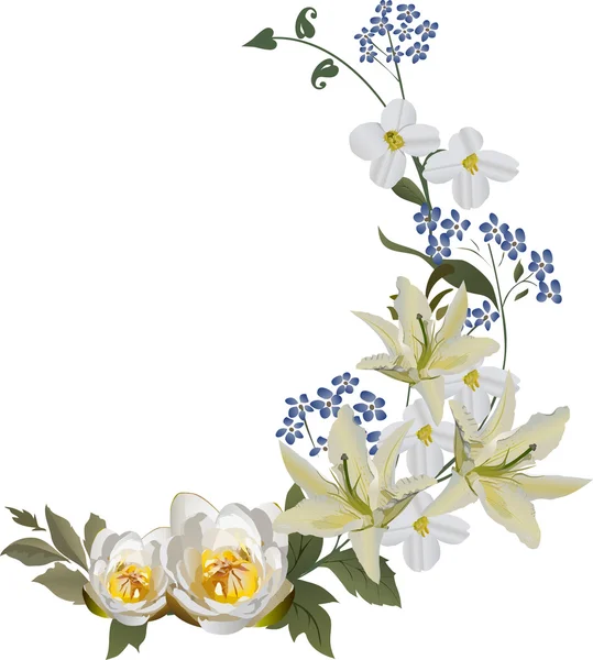 Krullen met vijf lily bloemen — Stockvector