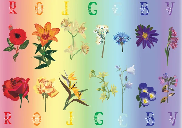 Ουράνιο τόξο συλλογή λουλούδια — Διανυσματικό Αρχείο