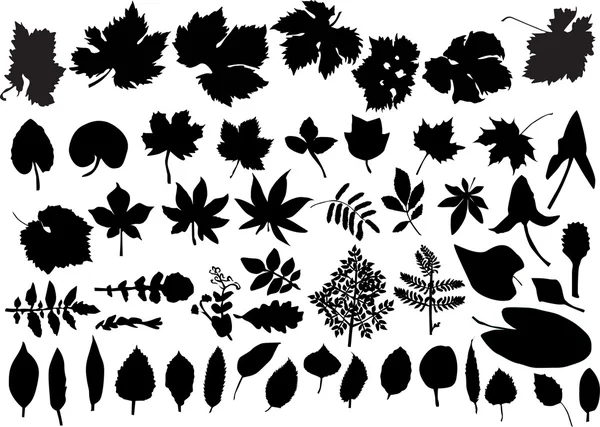 Reihe isolierter Blätter Silhouetten — Stockvektor