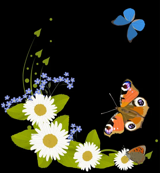 Three butterflies and chamomiles on black — Stock Vector