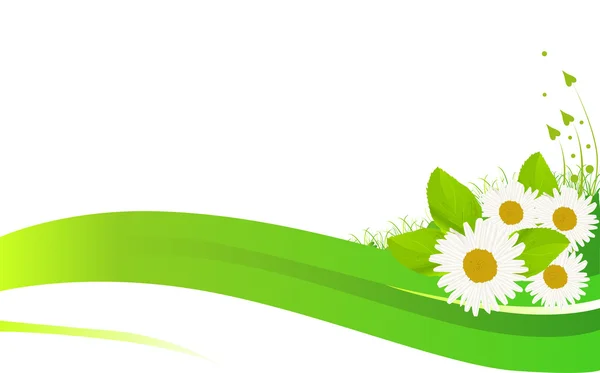 Kamille bloemen in groen gras illustratie — Stockvector
