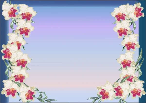 Conception avec des fleurs blanches d'orchidée — Image vectorielle