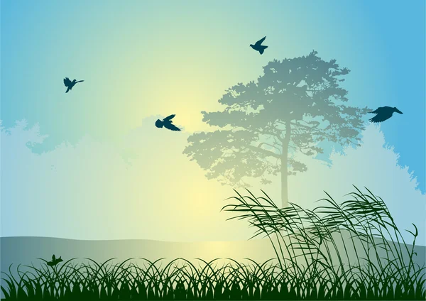 Vögel und Baum bei Sonnenaufgang Illustration — Stockvektor