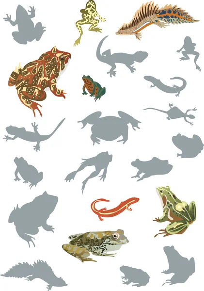 Colección de reptiles y anfibios — Vector de stock