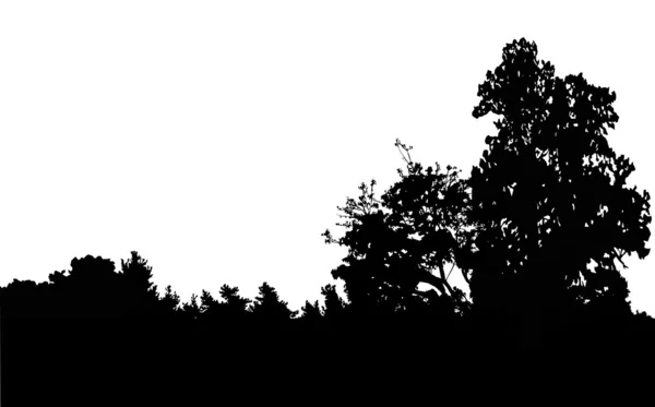 Silhouette foresta isolata nera — Vettoriale Stock