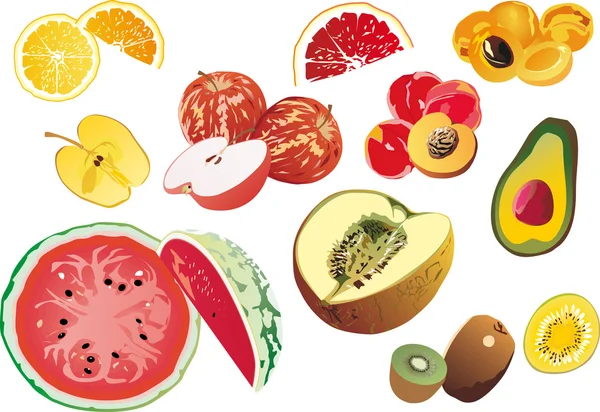 Samling av frukt skivor — Stock vektor