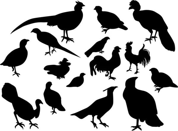 Quinze pássaros pretos em branco — Vetor de Stock