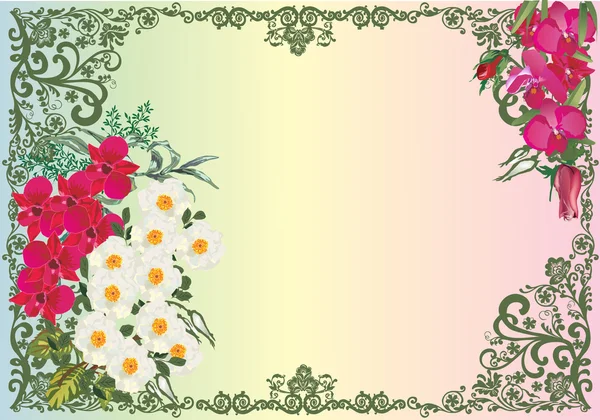 Cadre décoré avec des orchidées et des ronces — Image vectorielle