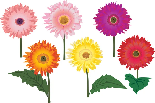 Sex ljusa blommor samling — Stock vektor
