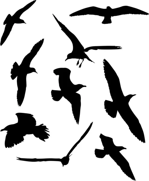 Set of gull silhouettes — Stock Vector