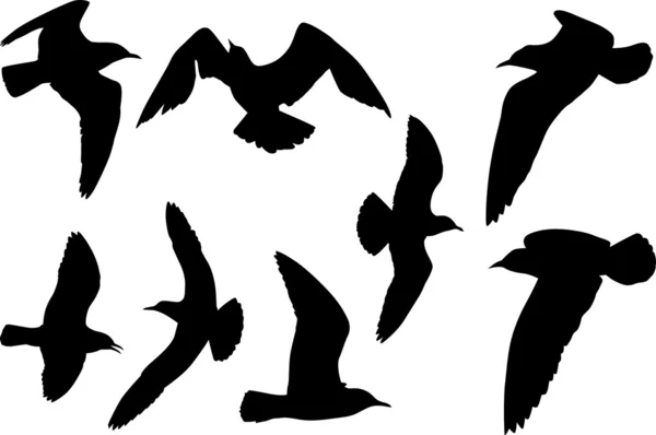 Set of eight gull silhouettes — Stock Vector