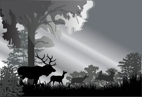 灰色の森で鹿のシルエット — ストックベクタ