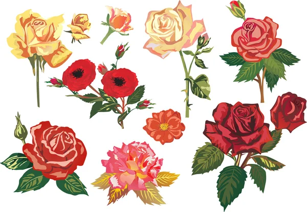 Ramas de rosas rojas y amarillas — Archivo Imágenes Vectoriales