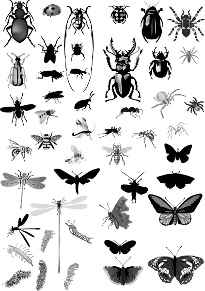 Reihe isolierter grauer Insekten — Stockvektor