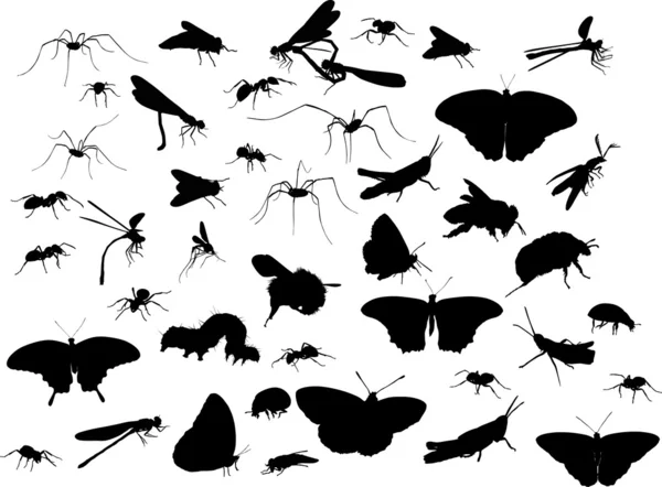 Большой изолированный набор насекомых — стоковый вектор