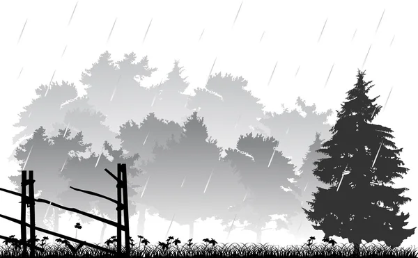 Zaun und Wald unter Regen Illustration — Stockvektor