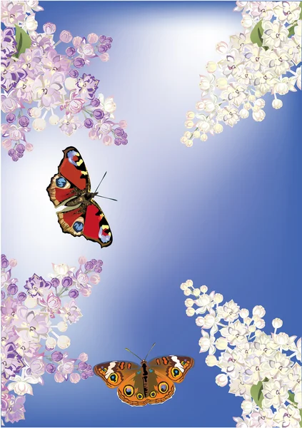 蝴蝶和丁香花的天空背景上 — 图库矢量图片